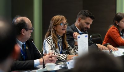 Proponen la confección de un protocolo interinstitucional de actuación para la delimitación de competencias en frontera