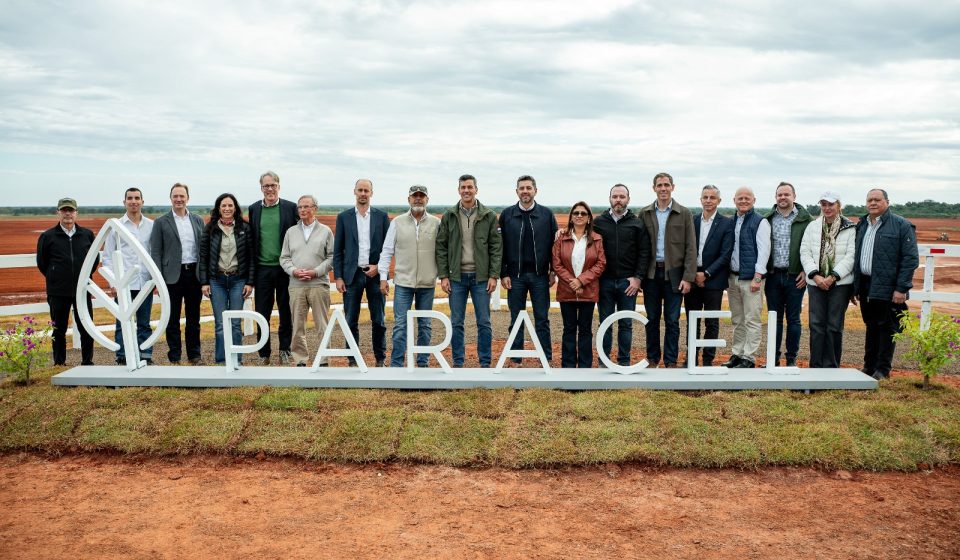 PARACEL (2)